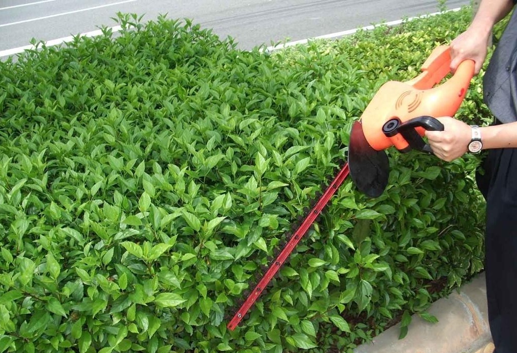 無錫園林綠化工程 無錫園林綠化工程